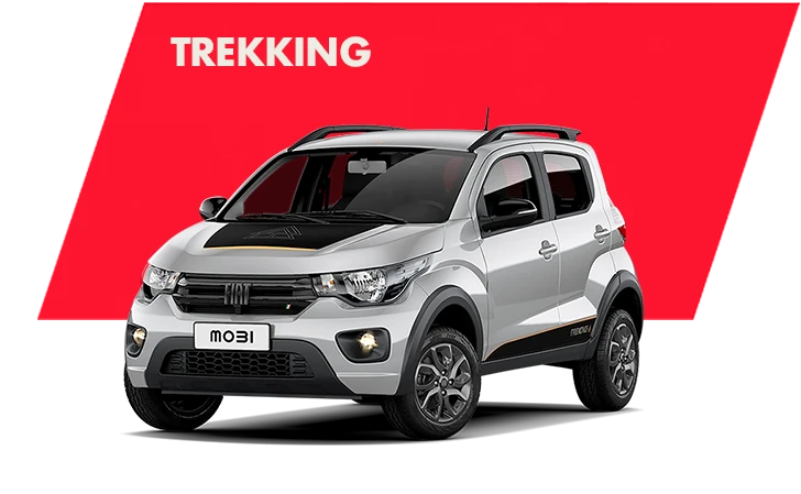 Fiat Mobi Trekking Gris