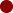Cronos Like Rojo